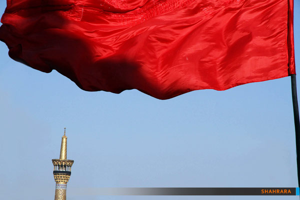 اجتماع عظیم عزاداران رضوی /2