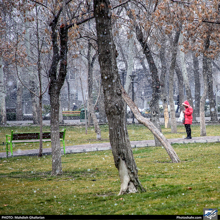بارش برف برای روز‌های ۱۴ و ۱۵ دی ماه جاری یکشنبه و دوشنبه هفته آینده در بیشتر مناطق استان خراسان رضوی پیش‌بینی شده است.