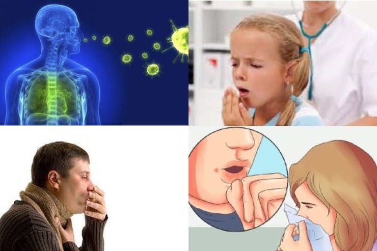 مدیر گروه میکروب‌شناسی و ویروس‌شناسی دانشگاه علوم پزشکی مشهد گفت: مشهد به عنوان قطب تحقیقاتی بیماری سل شناخته می‌شود.