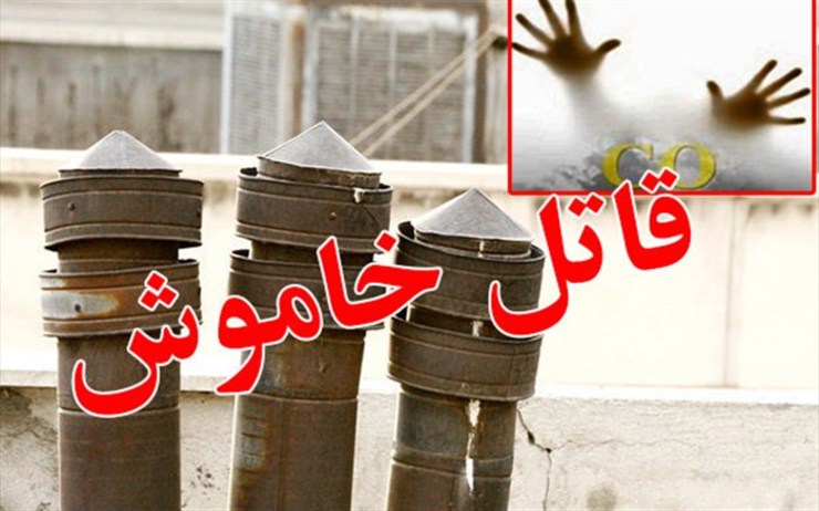 متخصص طب اورژانس و عضو هیات علمی دانشگاه علوم پزشکی مشهد گفت:  نشانه‌های اولیه مسمومیت خفیف با گاز منو کسید کربن اغلب شبیه به علائم مرتبط با آنفلوآنزا، مانند حالت تهوع، استفراغ و خستگی، به نظر می‌رسد.