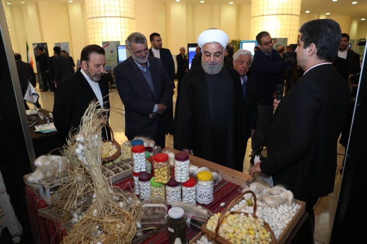 رئیس جمهور ۲۴ دی‌ماه، از غرفه‌های مختلف نمایشگاه دستاورد‌های فن‌آورانه و توانمندی‌های وزارت جهاد کشاورزی بازدید کرد.
