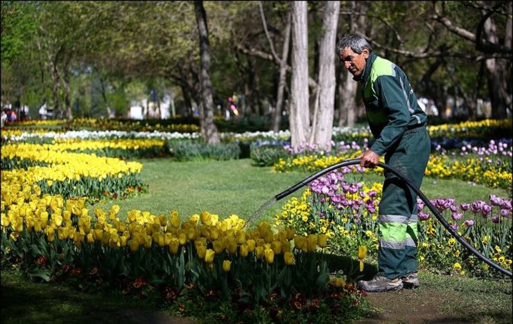 سرپرست اداره کل محیط زیست شهری شهرداری مشهد از رسیدن تعداد بوستان های این شهر به ۶۷۲ مورد، با بهره برداری از ۲۰ بوستان در حال احداث تا پایان سال جاری خبر داد.