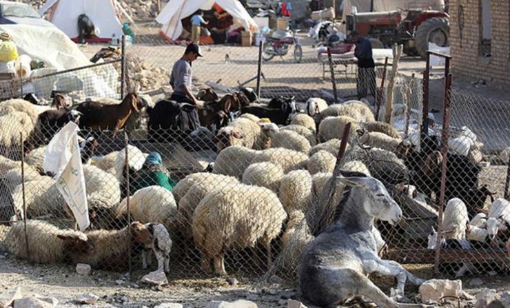 دامداران خسارت‌دیده از حادثه طبیعی جریان سیل و بارش تگرگ بهار ۹۸ در شهرستان سبزوار، هفت میلیارد ریال بابت جبران زیان‌های وارده به عنوان «کمک بلاعوض» از سوی دولت دریافت کردند.
