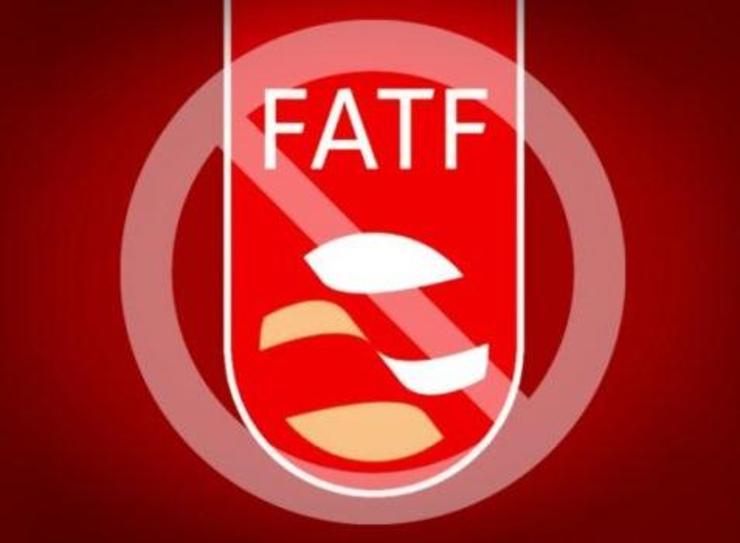 جمعی از نمایندگان مجلس شورای اسلامی در نامه‌ای به رهبر انقلاب خواستار تمهید مقدماتی برای تصویب دو لایحه CFT و پالرمو در مجمع تشخیص مصلحت نظام شدند.