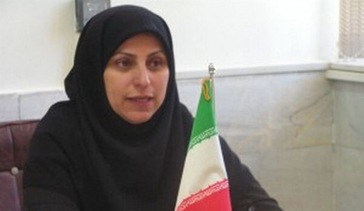 مدیر دفتر امور بانوان و خانواده استانداری خراسان رضوی گفت: براساس سرشماری سال ۹۵، در استان ۲۰ هزار و ۶۶۶ دختر بالای ۴۰ سال مجردند.