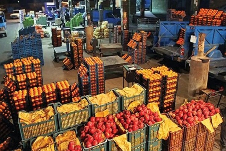 با توجه به شرایط مساعد اقلیمی، رشد چند برابری تولید محصولات باغی نسبت به مدت مشابه سال قبل و ذخیره سازی مناسب سیب و پرتقال کمبودی در عرضه میوه شب عید وجود ندارد.