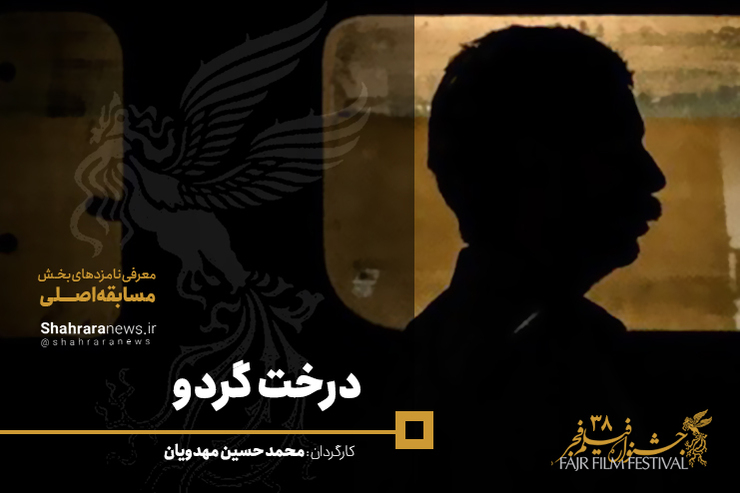 با اعلام نهایی نتایج آثار سینمایی حاضر در بخش سودای سیمرغ سی و هشتمین جشنواره فیلم فجر، فیلم سینمایی «درخت گردو» به کارگردانی «محمد حسین مهدویان» به عنوان یکی از حاضران این دوره از مهمترین رویداد سینمایی کشور معرفی شد.