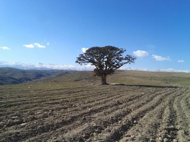 مدیر کل میراث فرهنگی، گردشگری و صنایع دستی خراسان رضوی گفت: در راستای شناسایی و ثبت میراث طبیعی استان  و با تلاش کارشناسان دفترثبت، ۲۰ اثر شاخص و منحصر به فرد استان در سال جاری در فهرست آثار طبیعی کشور قرار گرفت.