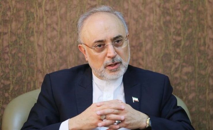 رییس سازمان انرژی اتمی بیانیه آلمان، فرانسه و انگلیس مبنی‌بر سازوکار رفع اختلاف در برجام را ناتوانی و بی‌حکمتی اروپائیان در برابر خواسته‌های آمریکا عنوان کرد.