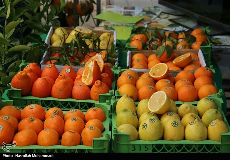 مدیرکل میوه‌های سردسیری و خشک وزارت جهاد کشاورزی گفت: حدود ۲۵ هزار تن سیب و ۳۵ هزار تن پرتقال تامسون شمال و جنوب برای شب عید ذخیره شده است و برای تنظیم بازار توزیع خواهد شد.