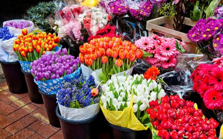 با توجه به افزایش تقاضای خرید گل، طرح نظارت بر بازار گل در مشهد آغاز شده است.