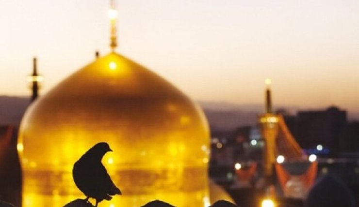 محمدصادق براتی معاون هماهنگی و مدیریت امور زائران استانداری خراسان رضوی گفت: بیشترین زائران در فصل بهار به مشهد سفر می‌کنند که از این میان ۲۰ درصد از کل زئران را تهرانی‌ها تشکیل می‌دهند.