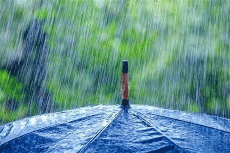 هوای مشهد بارانی می شود.