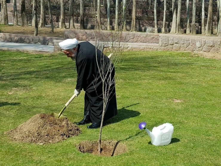 همزمان با روز درختکاری رییس‌جمهوری یک اصله نهال را در مجموعه سعدآباد کاشت.