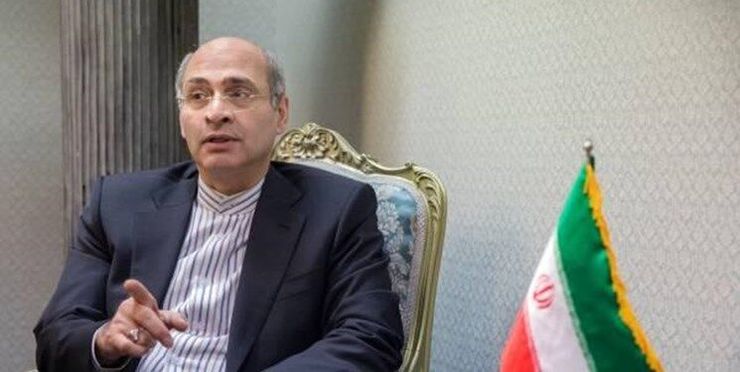 سفیر و نماینده دائم جمهوری اسلامی اسلامی ایران نزد سازمان منع سلاح‌های شیمیائی روز چهارشنبه ۲۱ اسفند ماه سال جاری در نود و سومین نشست شورای اجرائی این سازمان از سوی گروه آسیایی به عنوان معاون رییس شورای اجرایی معرفی شد.