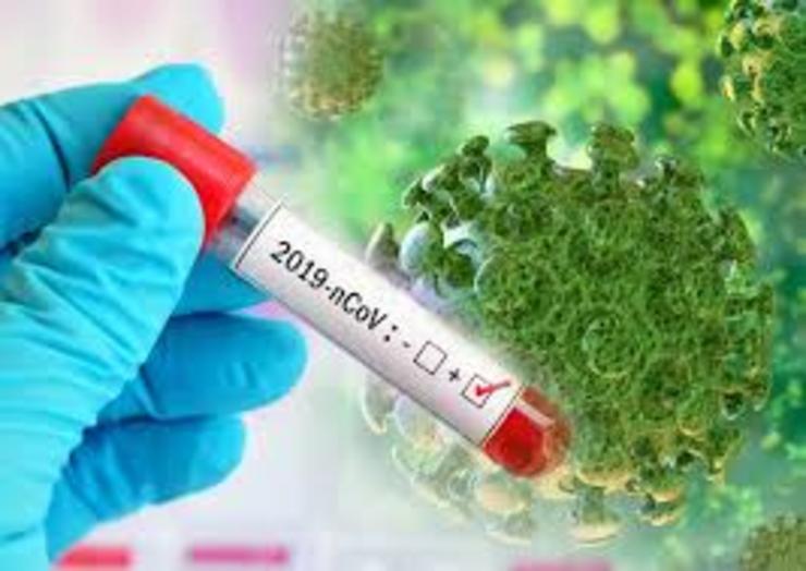 یک عضو هیأت علمی دانشگاه فردوسی مشهد گفت: نواحی حاشیه شهر‌ها به دلایل مختلف نه تنها از نظر اقتصادی و اجتماعی بلکه در انواع بحران‌های دیگر آسیب‌پذیری بیشتری از سایر نواحی شهر دارند و بالقوه امکان تبدیل شدن به کانون همه گیری بیماری کرونا را دارند.
