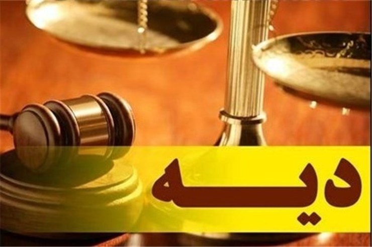 سخنگوی قوه قضائیه از تعیین میزان دیه سال ۹۹ خبر داد.