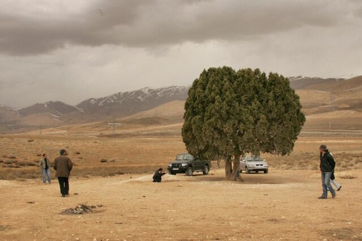 احمد عرب‌بیگی، مجسمه‌ساز، از اتمام ساخت مجسمه‌ای از دستان، دوربین عکاسی و عینک عباس کیارستمی و نصب آن زیر تک‌درخت معروف او خبر داد.