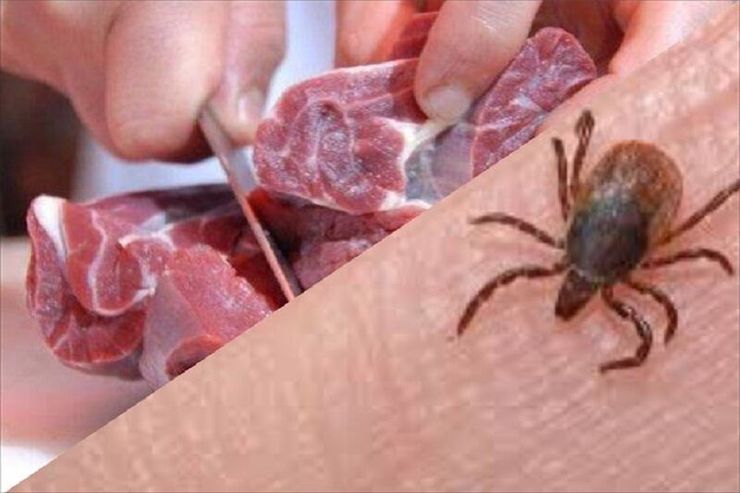 مدیر گروه پیشگیری و مبارزه با بیماری‌های دانشگاه علوم پزشکی مشهد گفت: در پی اقدامات پیشگیرانه و با همکاری نهاد‌های مربوطه هم اکنون این بیماری در خراسان رضوی تحت کنترل بوده و موارد ابتلای بیماری در استان رو به کاهش است.
