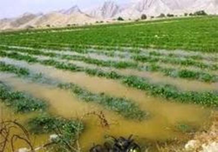 هفته سردی در انتظار استان خراسان رضوی است و این هوای سرد تا آخر هفته آینده در استان ماندگار است.