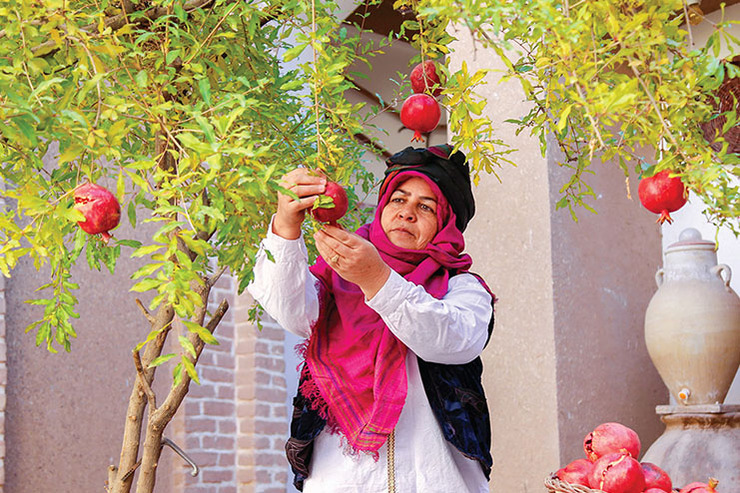 خون دوباره انار در رگ های بجستان