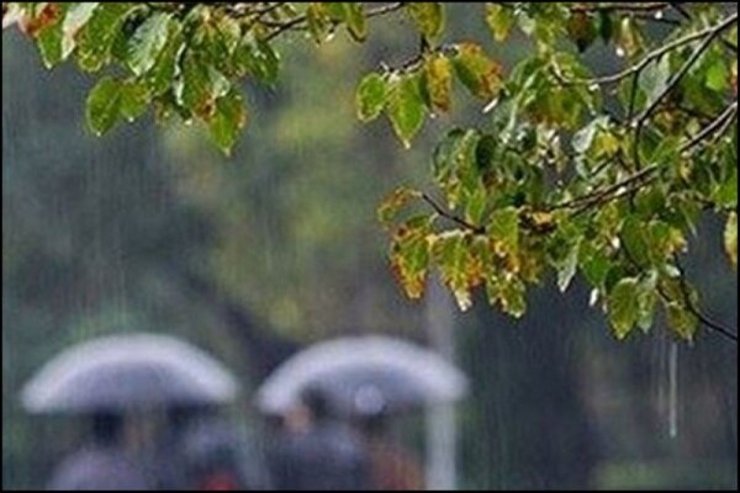 مدیرکل هماهنگی و نظارت بر خدمات شهری شهرداری مشهد گفت: پنج هزار نیروی کارگری و ۳۰۵ دستگاه ماشین آلات جمع‌آوری آب‌های سطحی در مشهد در حالت آماده‌باش هستند.
