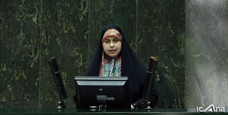 نطق پایانی پروانه سلحشوری نماینده تهران در مجلس غوغایی به پاکرد و نمایندگان مخالف تا دقایقی با داد و فریاد درباره این نطق صحبت می‌کردند.