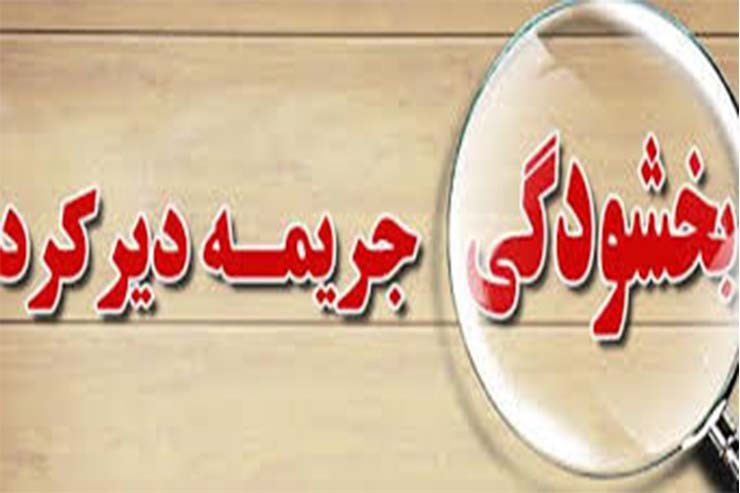 بانک مرکزی درباره بخشودگی سود و جرائم دیرکرد بازپرداخت تسهیلات زیر یک میلیارد ریال سررسید شده تا سال ۱۳۹۷ توضیحاتی ارائه کرد.