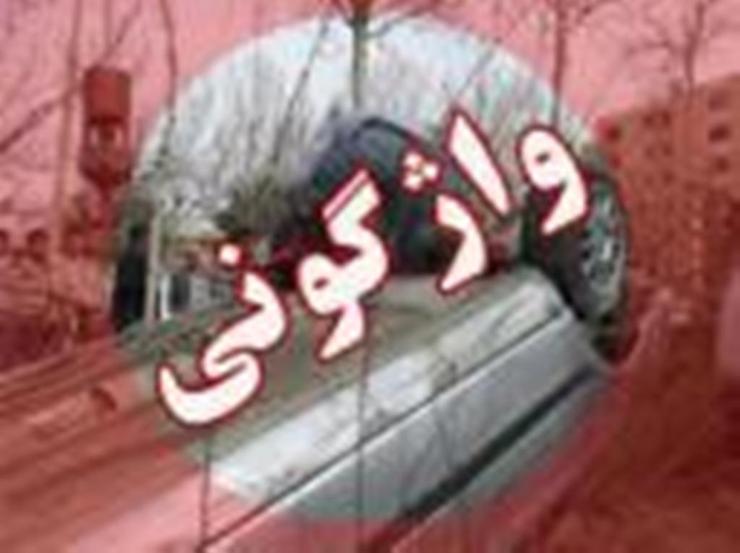 فرمانده انتظامی شهرستان کلات از واژگونی یک دستگاه خودروی پیکان وانت در محور کلات– مشهد با ۴ مصدوم خبر داد.