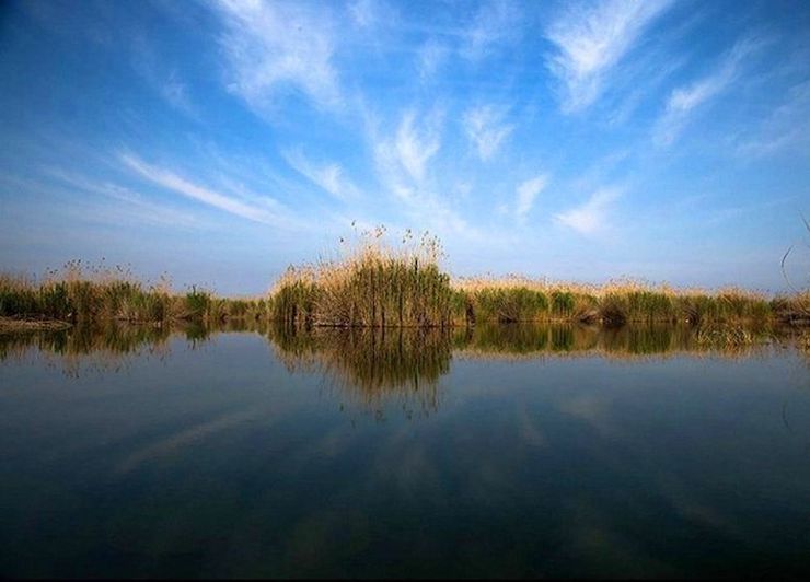 مدیر کل حفاظت محیط زیست خوزستان شرایط تالاب‌های خوزستان را مطلوب دانست و گفت:بارندگی واعمال مدیریت باعث آبگیری و احیای بخش زیادی از تالاب‌های این استان شد.