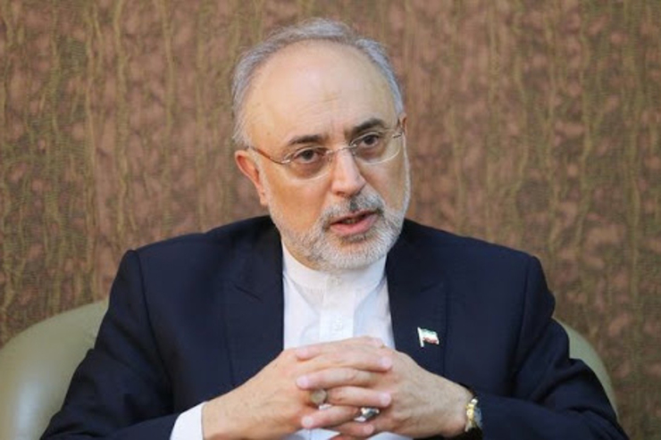علی اکبر صالحی اظهارداشت: رهبری دستور فرموده بودند مذاکرات با آمریکا در مسقط و مذاکرات ۱+۵ باید هماهنگ جلو رود؛ گفته بودند رئیس جمهور وقت، متولی هر دو مسیر باشد، اما آقای احمدی نژاد استنکاف کردند.