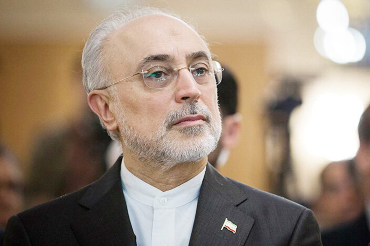 رئیس سازمان انرژی اتمی گفت که فعالیت‌های سازمان انرژی اتمی رو به گسترش است و هیچ بخشی از فعالیت‌ها تعطیل یا راکد نشده است.