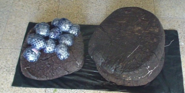 سخنگوی گمرک گفت: از دو محموله پستی بلبرینگ صنعتی و قرقره نوار پرده ۶ کیلو و ۱۰۰ گرم تریاک توسط گمرک فرودگاه امام (ره) کشف شد.