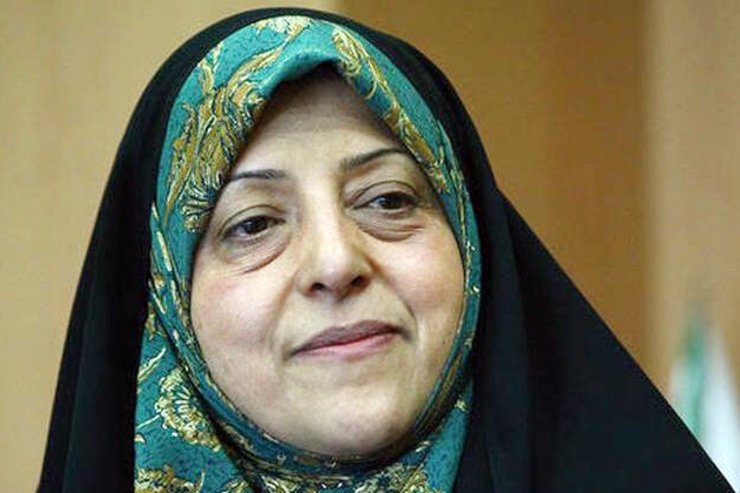 معاون امور زنان و خانواده رئیس جمهوری لایحه حفظ کرامت و حمایت از زنان در برابر خشونت را لایحه ای پیشرو و در چهارچوب قانون اساسی ارزیابی کرد و گفت: این لایحه مورد حمایت قوه قضائیه و دولت است و بهتر است مجلس هرچه سریع‌تر آن را تصویب کند.