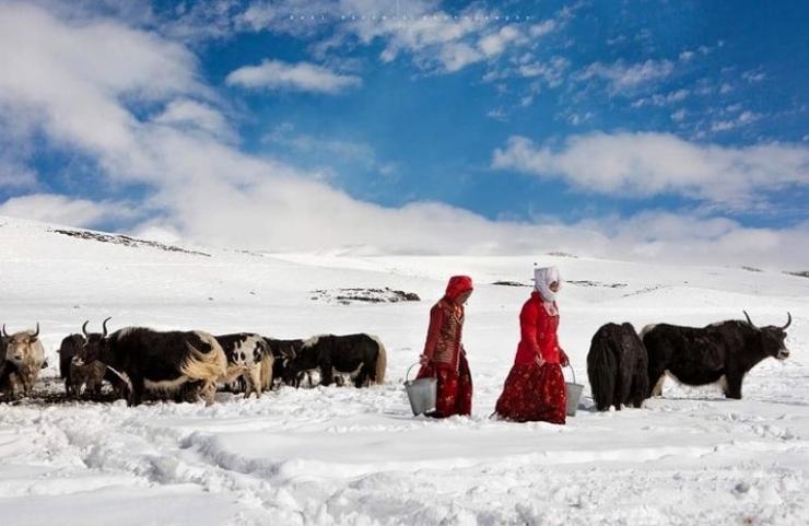 قرقیزها یکی از اقلیت‌های قومی افغانستان هستند که در دامنه کوه‌های پامیر استان بدخشان، آخرین نقطه در شما‌ل ‌شرق این کشور در ارتفاع بیش از ۴ هزار متر از سطح دریا که به بام دنیا مشهور است، زندگی می‌کنند.