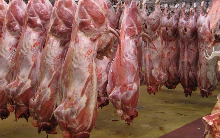  قیمت هر کیلو شقه گوسفندی در خرده فروشی‌های سطح شهر تهران ۱۱۵ هزارتومان و در میادین میوه و تره بار کیلویی ۱۰۷ هزارتومان است.