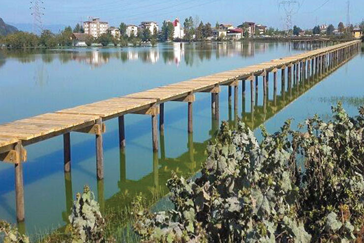 مستند «قصه‌های همیشگی» به کارگردانی بابک مجیدی جریان یک رویداد پنهانی در سال ۹۶ را به تصویر می‌کشد. این مستند اجتماعی مطالعه گرایانه در واقع جدال بر سر بقای طبیعت با زیاده خواهی انسان‌ها را به نمایش می‌گذارد.