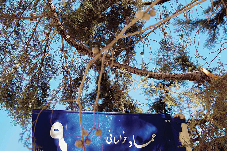اهالی خیابان «عماد خراسانی»، بعد از نقش بستن نامش بر تابلو‌ها به شناخت این شاعر علاقه‌مند شده‌اند