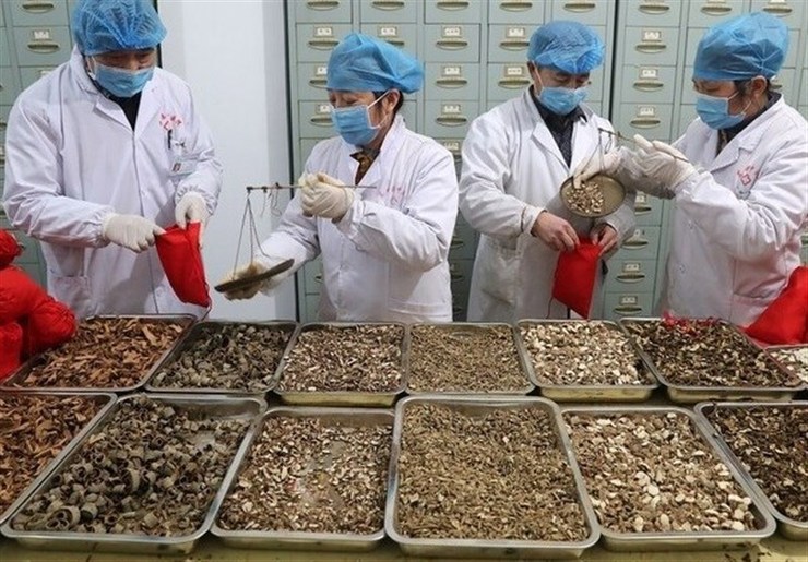 همه پزشکان این مرکز دارای تحصیلات پزشکی و دکتری طب ایرانی و مکمل هستند
