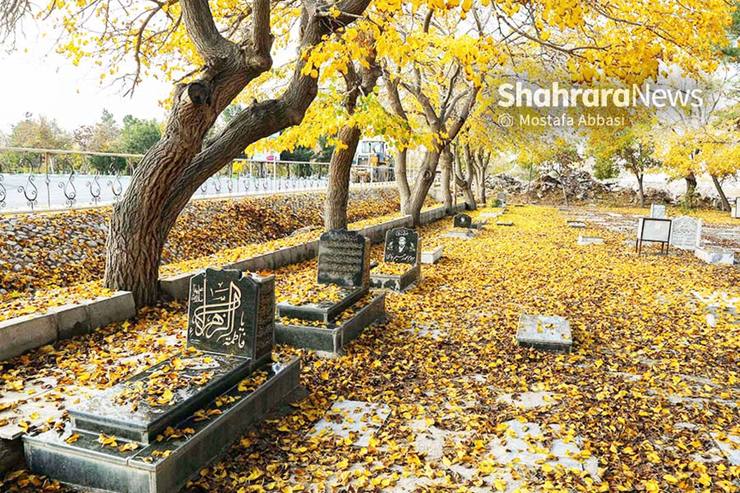 هر ساله روز مادر چند روزی قبل از آمدن صدایش بلند می‌شود صدای خنده‌ها را می‌توان حتی در فضای مجازی هم شنید. هدیه‌های رنگارنگ و دست بوسی‌های تکراری و جانم فدا‌هایی که در پیام‌ها و تصاویر رد و بدل می‌شود اگر چه حال خیلی‌هامان را خوب می‌کند، اما حوالی همگی ما کسانی هستند که این روز‌ها سنگ صبورشان یک قاب پرخاطره است.