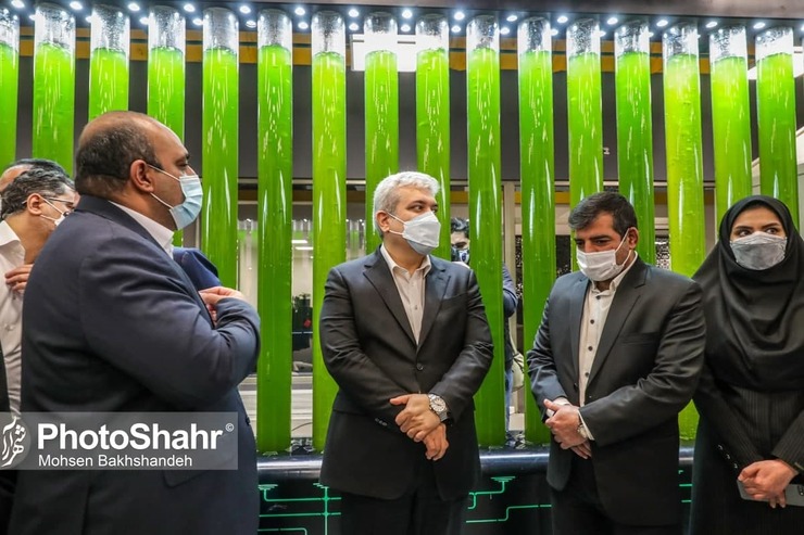 معاون علمی و فناوری رئیس جمهور در مشهد گفت: فرایند شتاب‌دهی کاملا خصوصی است و دولت نمی‌تواند وارد آن شود و فقط بخش خصوصی است که می‌تواند زمینه رشد و نوآوری را فراهم کند.
