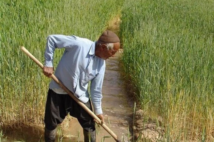 مدیرعامل صندوق بیمه اجتماعی کشاورزان، روستاییان و عشایر کشور، هدف از ایجاد این صندوق را خدمت به روستاییان و عشایر و تضمین آینده آنها دانست و گفت: در راستای این خدمت و با تصویب هیات مدیره صندوق بنا داریم تا قبل از ۲۲ بهمن عیدی همه مستمری‌بگیران را به حساب آنها واریز کنیم.