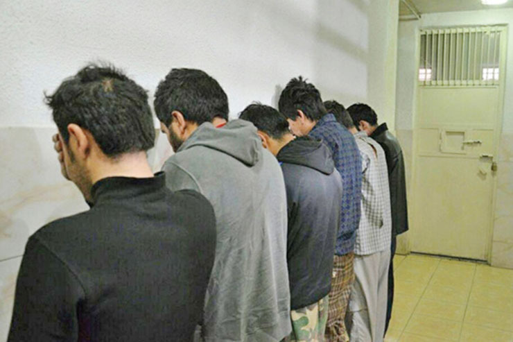 گزارش پشت گزارش و سرقت پشت سرقت! پرونده‌هایی که یکی پس از دیگری در اداره مبارزه با جرائم خشن پلیس آگاهی گشوده می‌شدند. شاکیان مدعی بودند که افرادی در لباس مأمور در برابرشان ظاهر شده و به بهانه‌های مختلفی به اسم قانون آن‌ها را تلکه کرده اند.