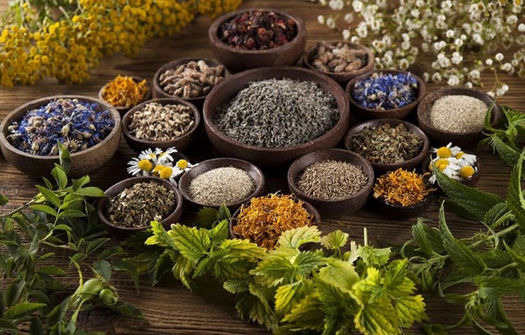 برخی گیاهان با ویژگی‌های فوق العاده وجود دارند که به رفع مشکلات ریوی و اختلالات تنفسی کمک می‌کنند.