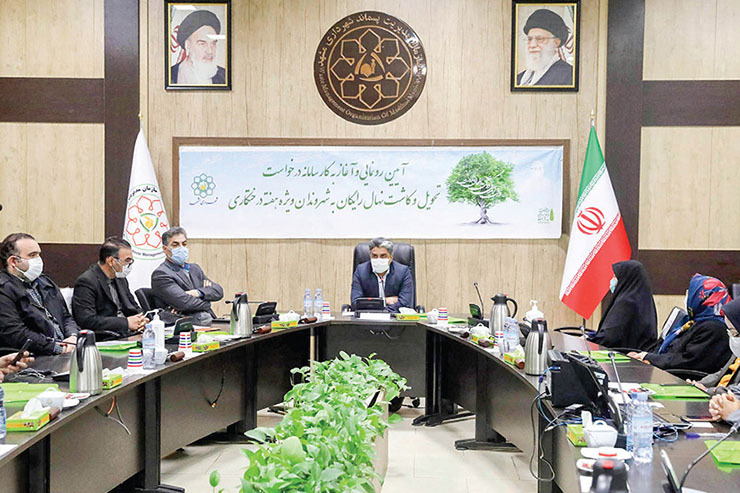 معاون خدمات شهری شهرداری مشهد گفت: برای هفته درخت کاری امسال ۱۲۰ هزار اصله نهال برای کاشت توسط مردم پیش بینی شده است