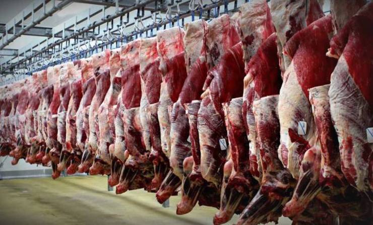 بر اساس مشاهدات میدانی، قیمت هر گیلوگرم گوشت گوسفندی به صورت شقه در بازار با حدود ۱۰ درصد افزایش به بیش از ۱۲۰ هزار تومان رسیده است.