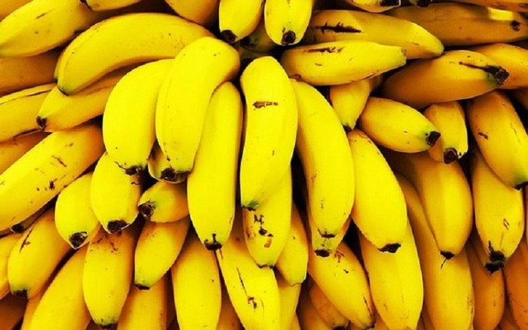 واردکنندگان متقاضی در ازای صادرات سیب، باید موزهای وارداتی را در شبکه‌های رسمی توزیع صنفی و با رعایت قیمت مصوب هر کیلو ۲۵ هزار تومان به مصرف کننده ارائه دهند.