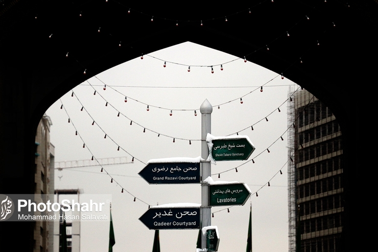 سخن‌گوی دولت گفت: هیچ‌کس نمی‌تواند ادعا کند که در پابوسی حضرت امام رضا(ع) مشتاق‌تر از دیگری است. قطعا اعضای دولت، اعضای ستاد ملی، اعضای کارگروه‌ها، کادر وزارت بهداشت و درمان که در این زمینه مشورت می‌دهند، در برخی مواقع از مدعیان اشتیاقشان برای زیارت بیشتر است. خود دولت و رئیس جمهور در این زمینه حساسیت دارند.