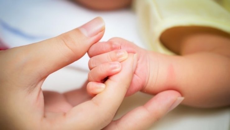 مدیر گروه سلامت خانواده، جمعیت و مدارس معاونت بهداشتی دانشگاه علوم پزشکی مشهد گفت: از ابتدای شیوع بیماری کرونا تاکنون 37 مادر باردار با تست مثبت کرونا در جمعیت زیر پوشش دانشگاه شناسایی شده‌ و تحت مراقبت سرپایی یا بیمارستانی قرار گرفته‌اند. خوشبختانه تاکنون فوت مادر باردار یا فوت پس از زایمان ناشی از بیماری کووید19 در دانشگاه علوم پزشکی مشهد رخ نداده است.