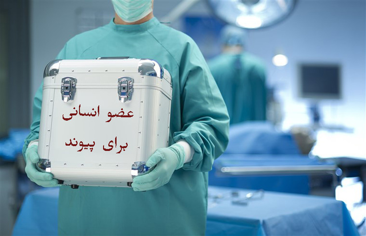 مسئول فراهم‌آوری اعضای پیوندی دانشگاه علوم پزشکی مشهد گفت: گرچه مجوز جراحی پیوند اعضا از ۲۰ بیمار مرگ مغزی از اسفند ماه پارسال تاکنون در مرکز پیوند دانشگاه علوم پزشکی مشهد صادر و تایید شده، اما شرایط ناشی از بحران کرونا موجب توقف اعمال جراحی پیوند عضو در این مرکز شده است.